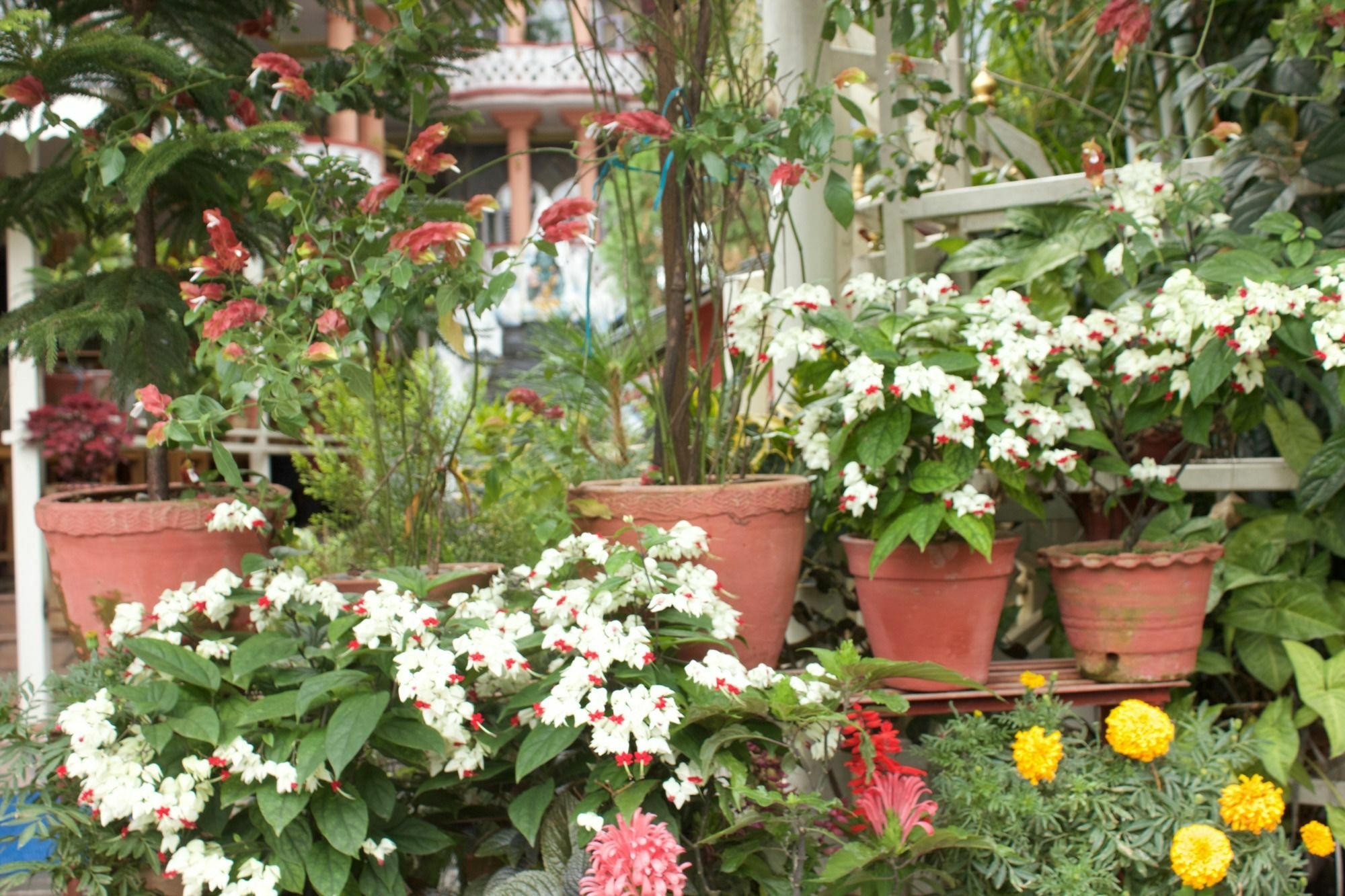 Hotel Himalayan Inn Pokhara Kültér fotó